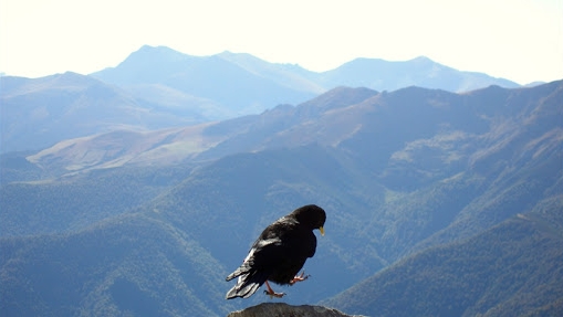 Autoescuela EuroPaterna