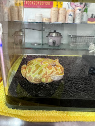 6454b664ba671a0df0312f28 的照片