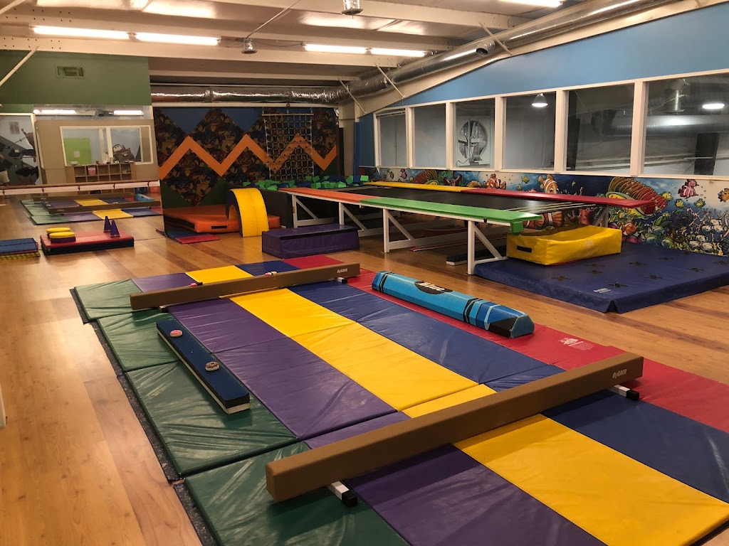  All Around Gymnastics