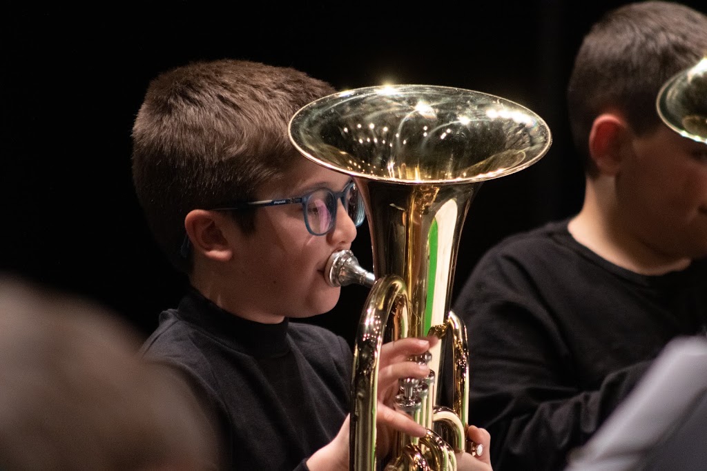 Societat Musical d'Algemesi — Instrumento musical