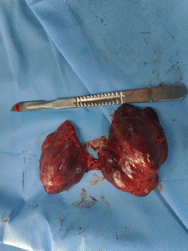 Dr. Dr Irfad Ent Clinic