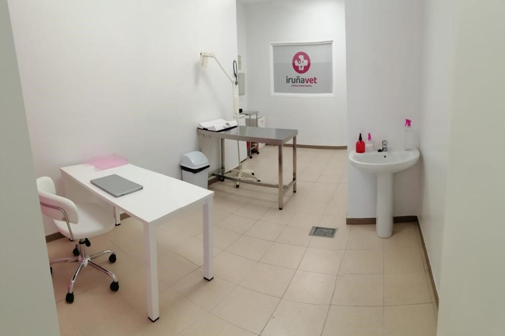 Clinica Veterinaria IRUNAVET — Del propietario