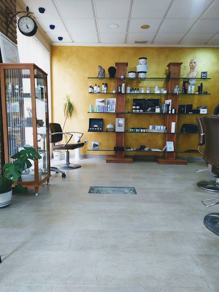 Salon Toni Ortuno — Interior