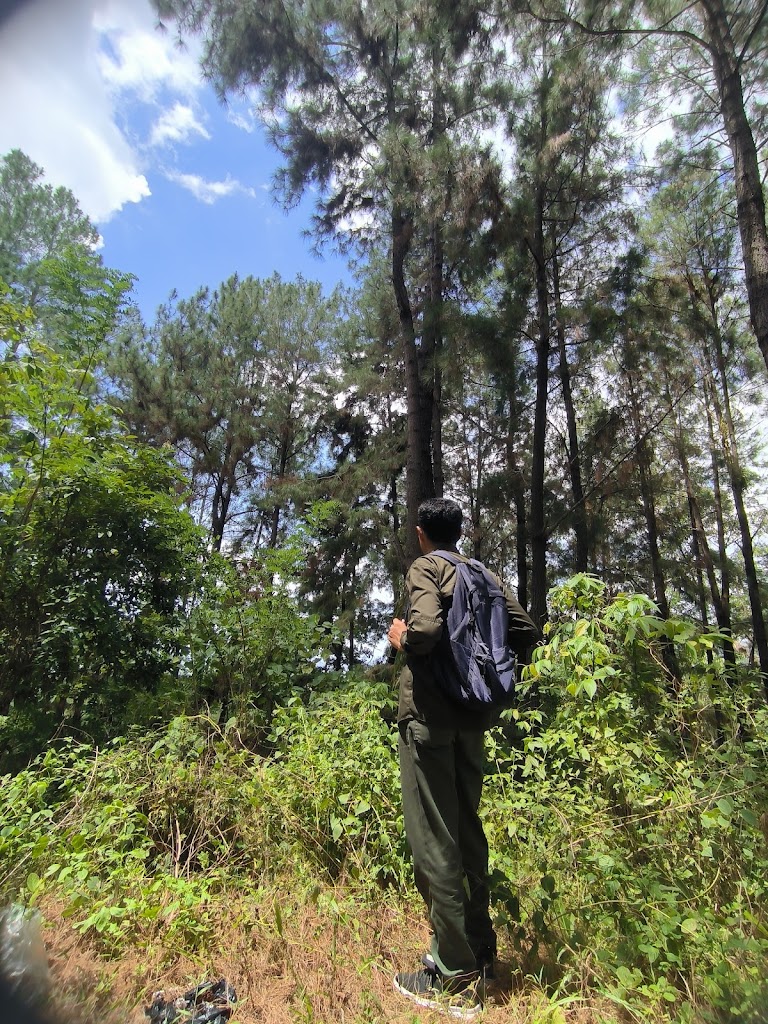 Camping Ground Pinus Butu