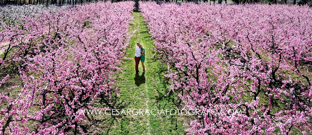 Cesar Gracia Fotografo