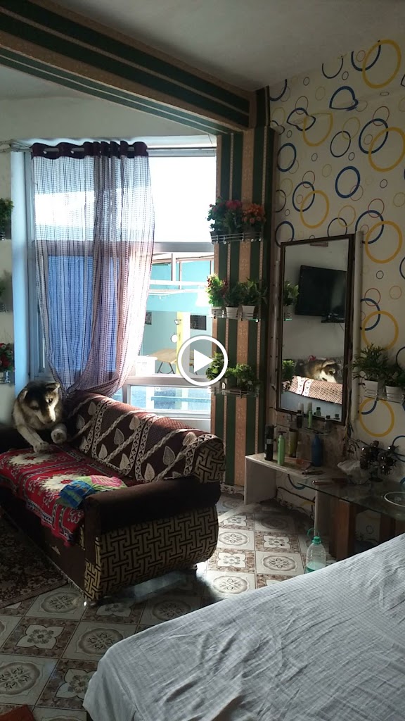 Videos