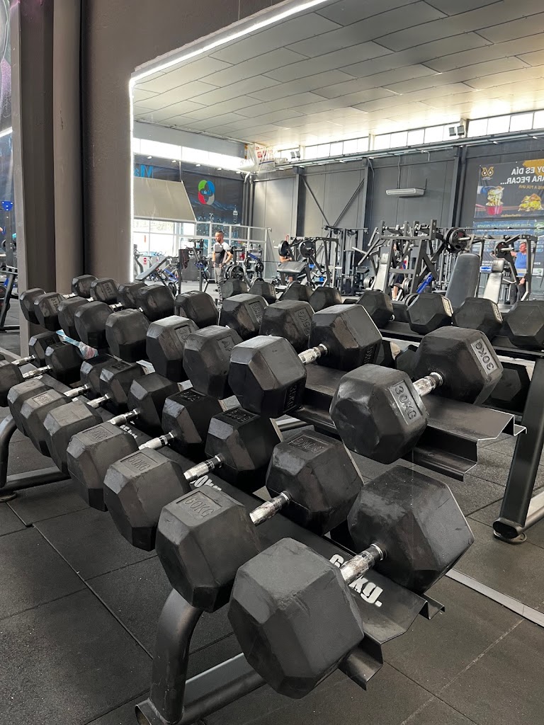 CAO gym — Gimnasio