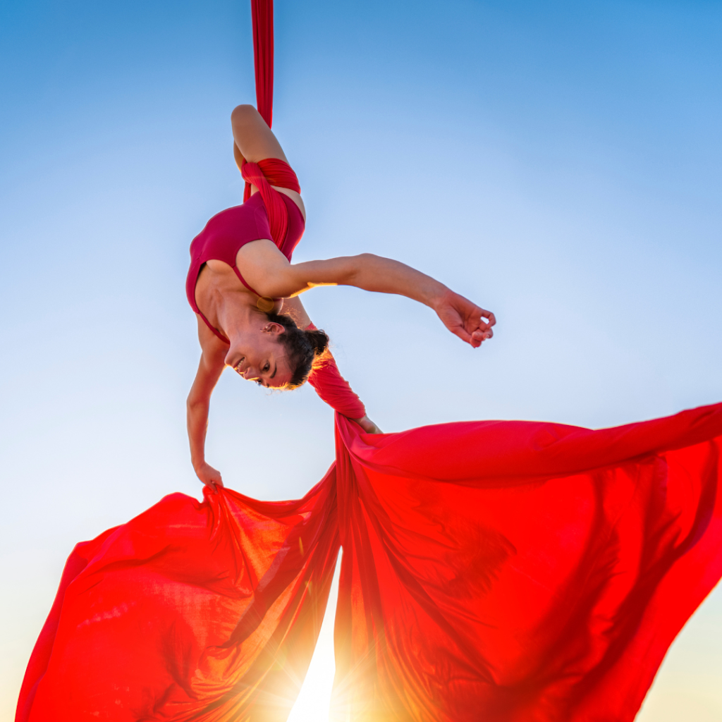  Aerial Dance Marin