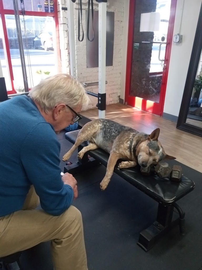  SPITGYM Personal Training