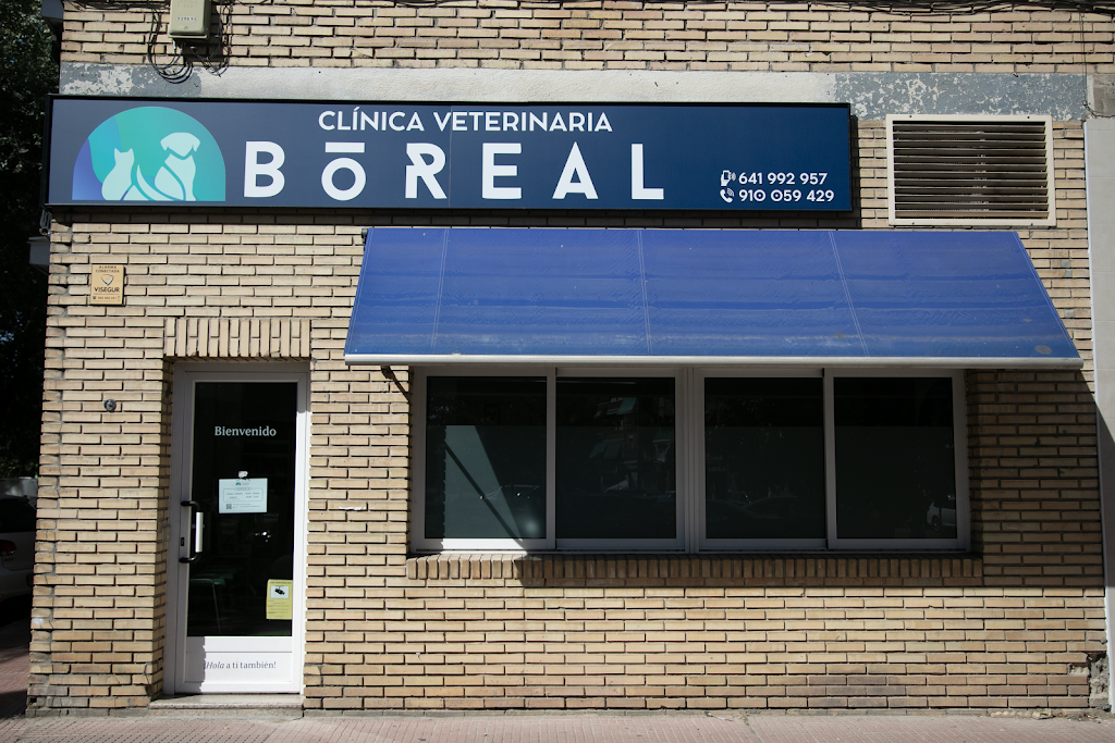 Veterinaria Boreal