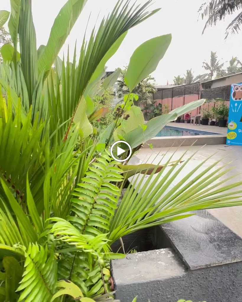 Videos