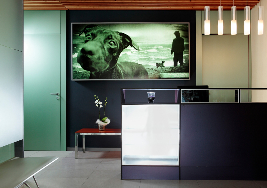 Clinica Veterinaria Innova Veterinaria