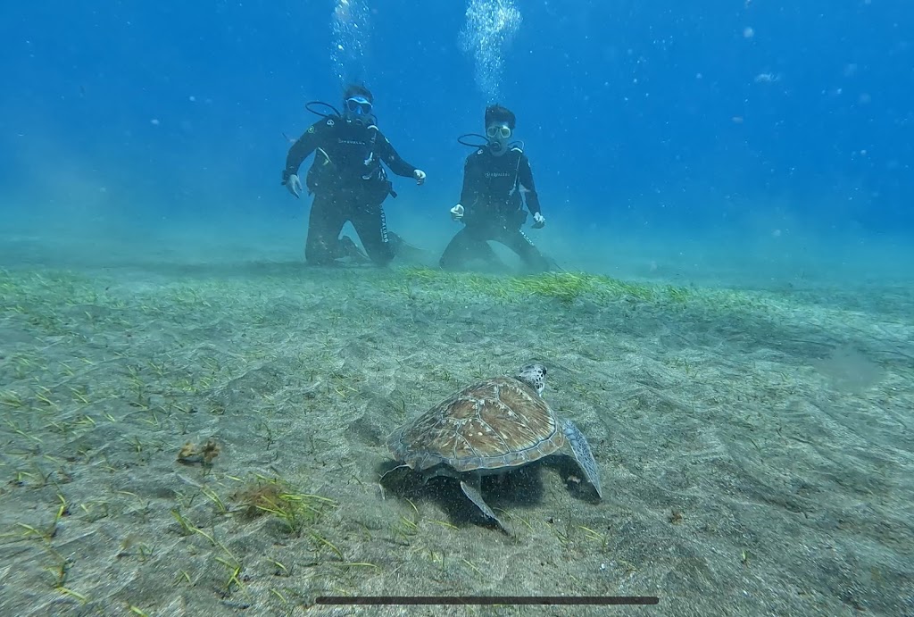 La Tribu Dive Tenerife
