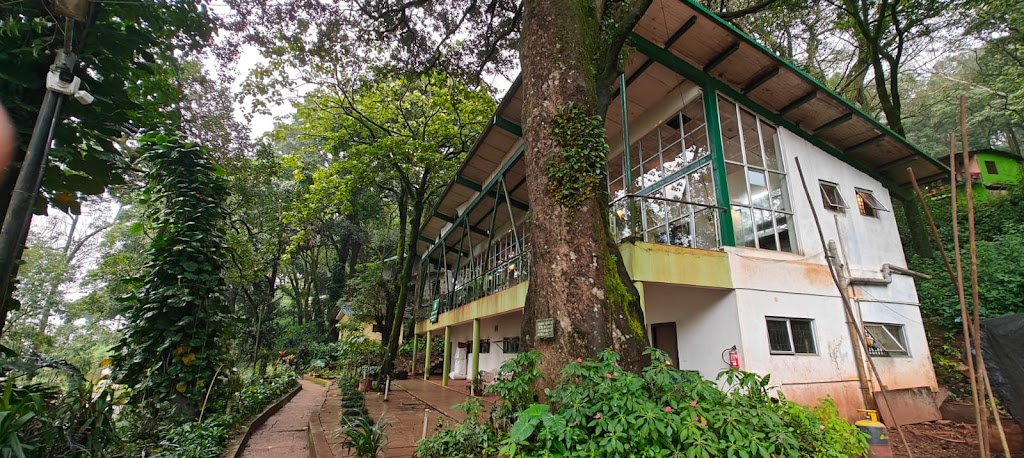 Kemmannugundi Hill Resort By Jungle Lodges