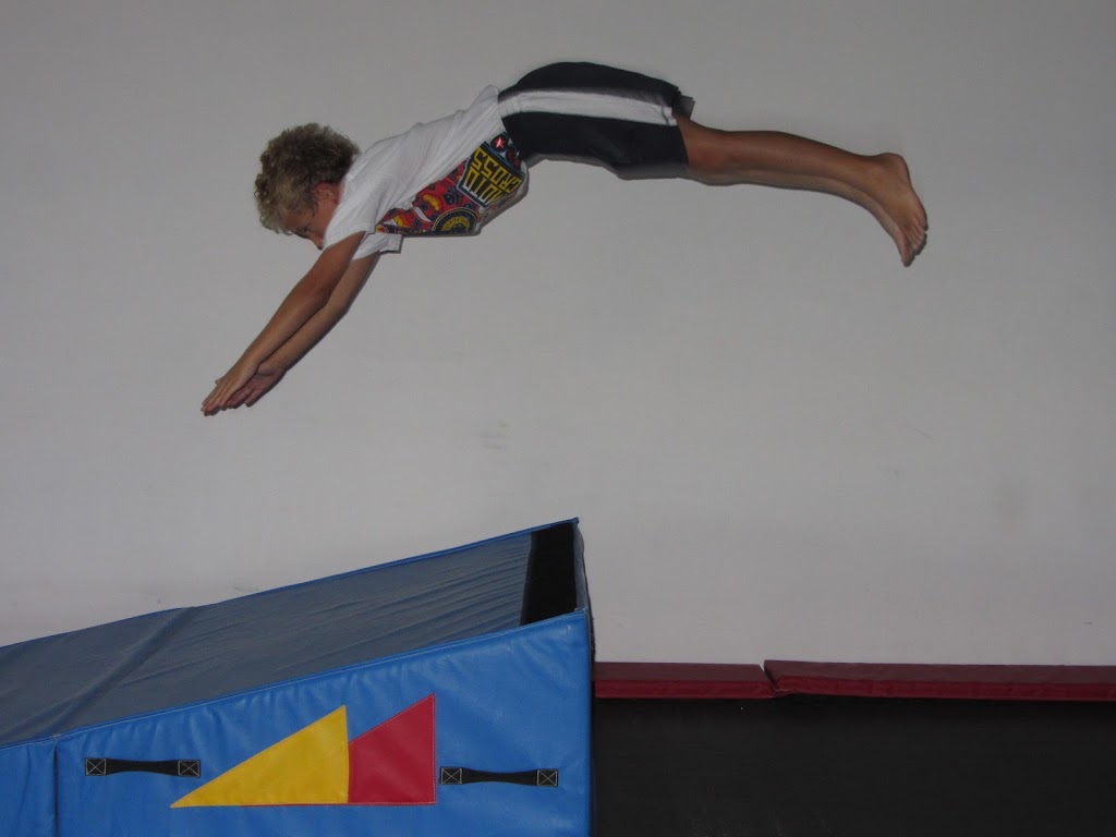  Gold Medal Gymnastics Academy