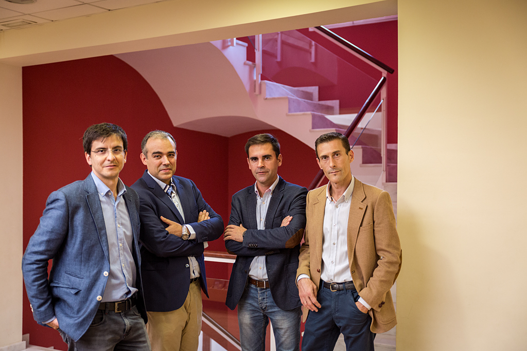 Estudio Profesional Desarrollo Integrado de Proyectos SL