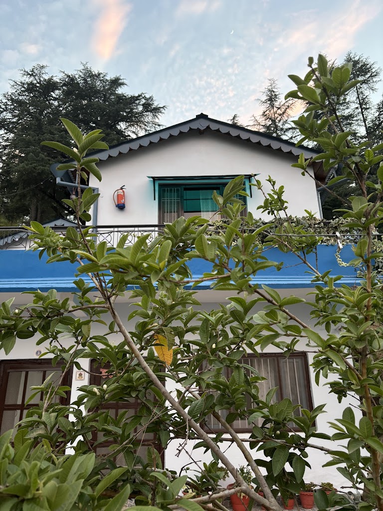 Himalayan Hamlet Homestay Homestay In Almora