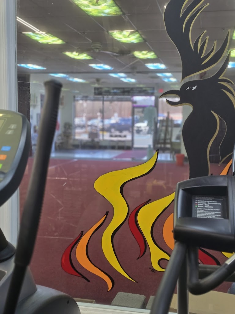  American Phoenix Karate