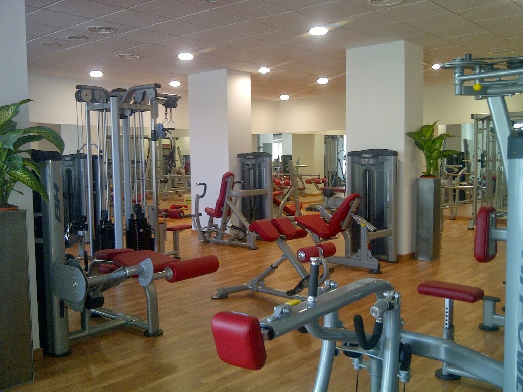 Olympic Karate Marbella