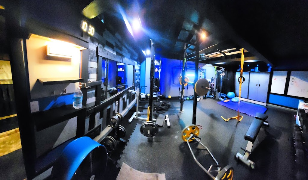  Protrainer studio