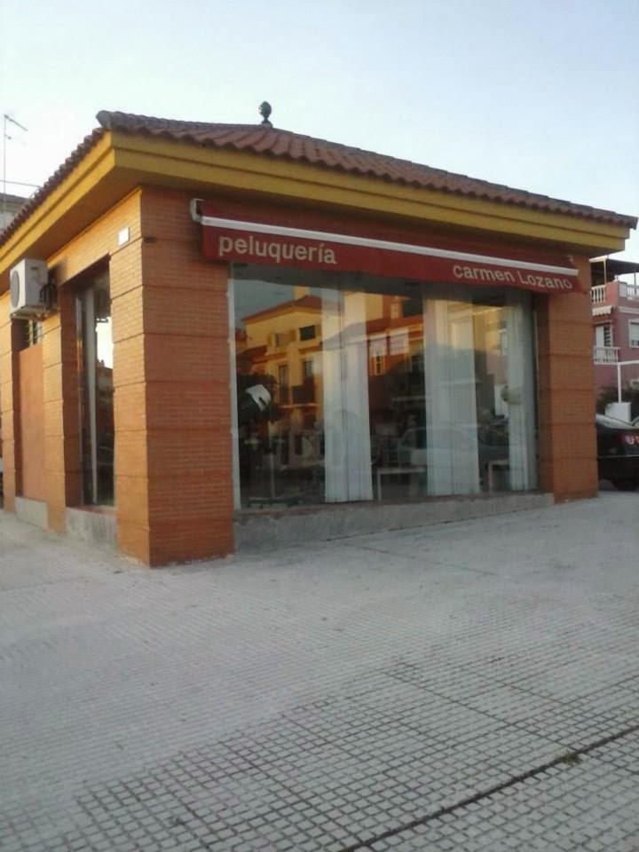 peluqueria y Estetica carmen lozano — Del propietario