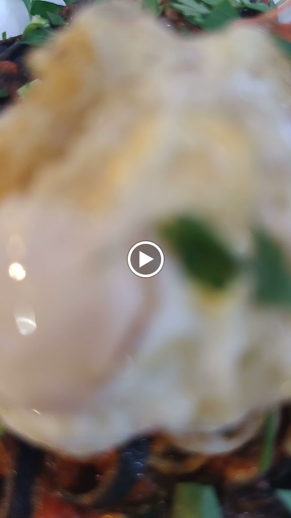 Bar Restaurante Lami — Videos