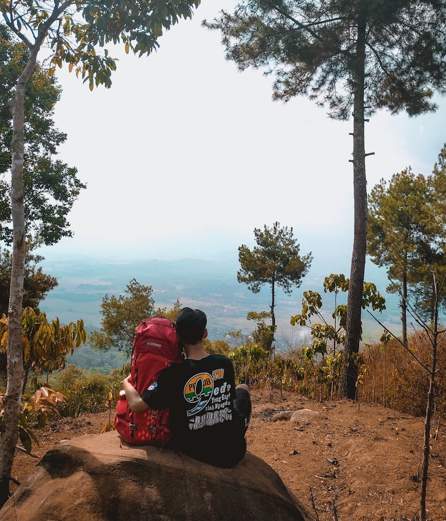 Kebun Teh Gunung Sawal