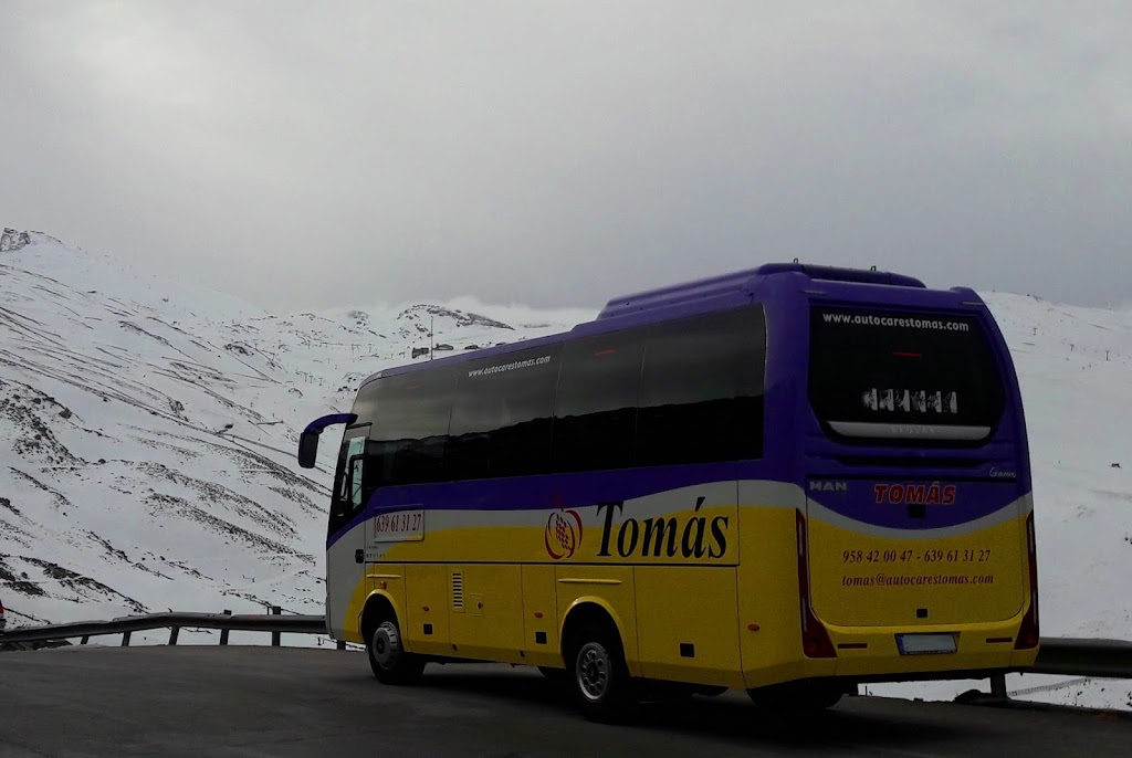 Autocares Tomas