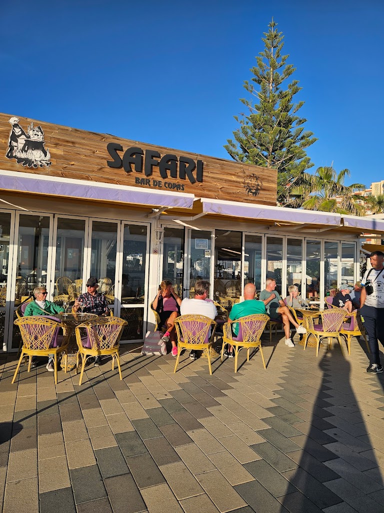 Safari Bar De Copas