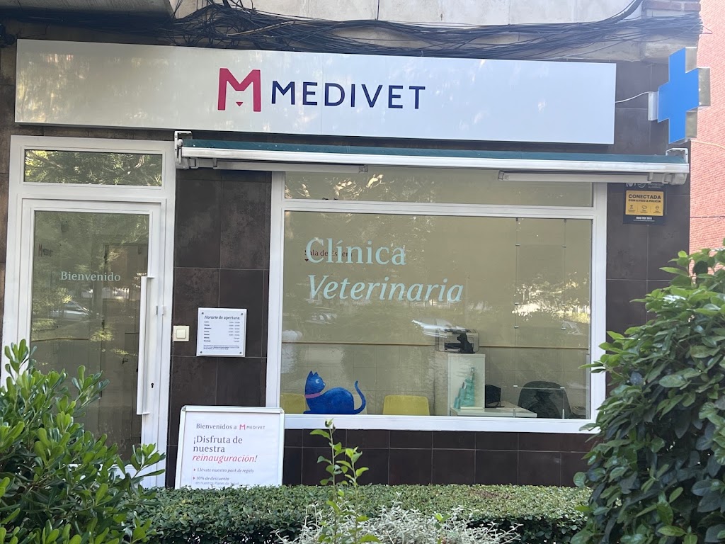 Medivet Skinpet Mostoles — Del propietario