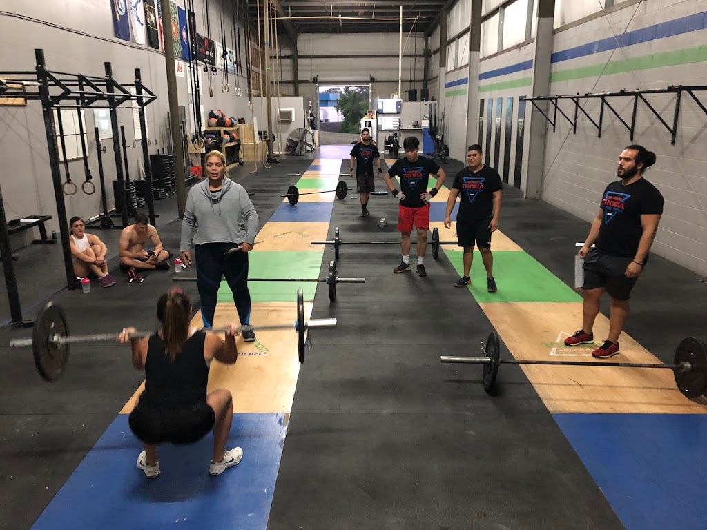  Troika Strength and Fitness