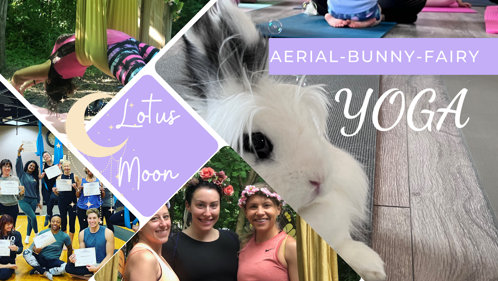  Lotus Moon Aerial Yoga