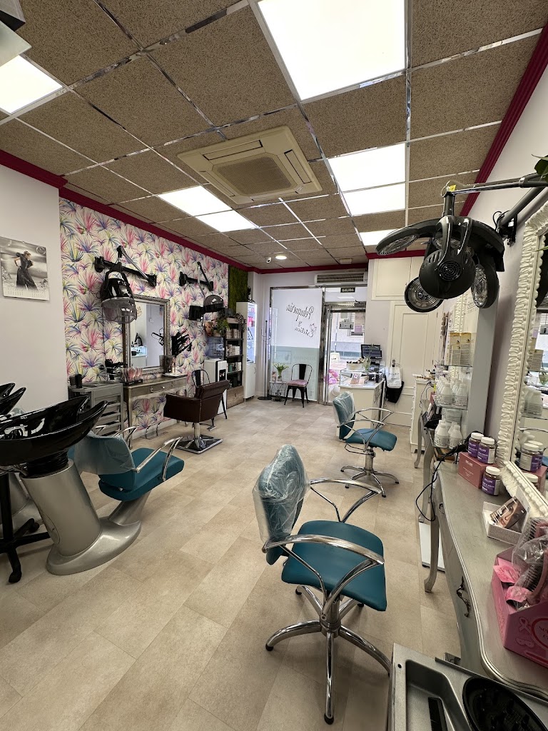 Peluqueria y Estetica Europa