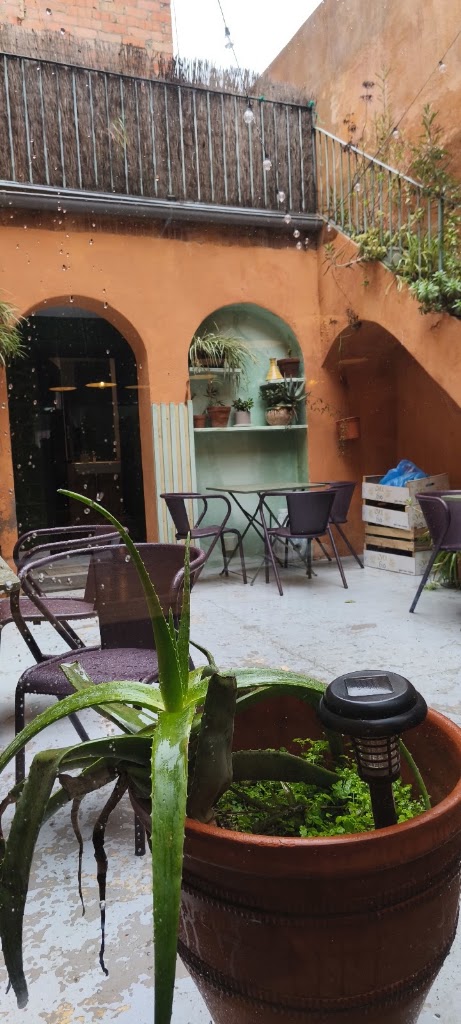 Restaurant Allium — Ambiente