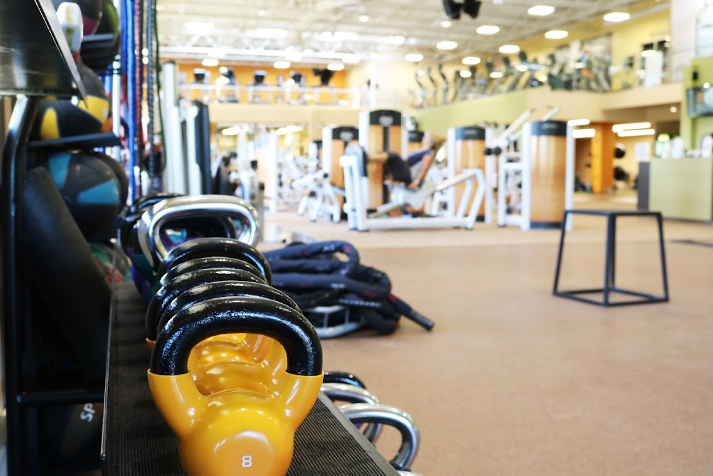  Waverley Oaks Athletic Club