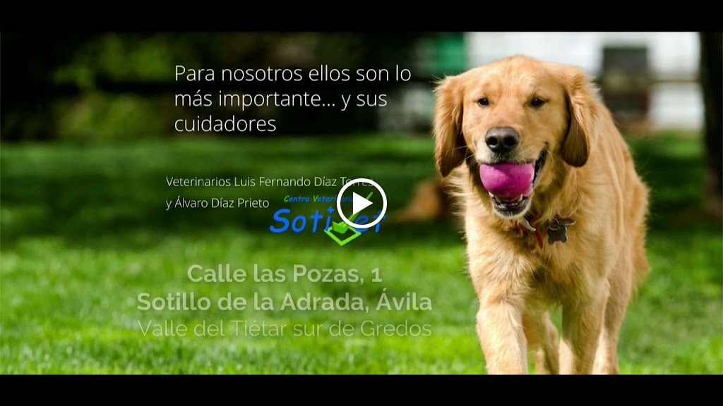 Centro Veterinario Sotivet SL — Del propietario