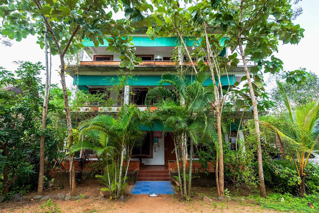 Stargazz Resort