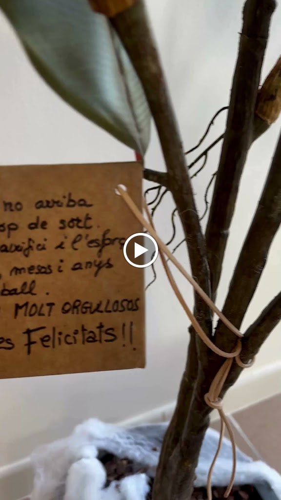 Amics Peluts Centre Veterinari — Del propietario