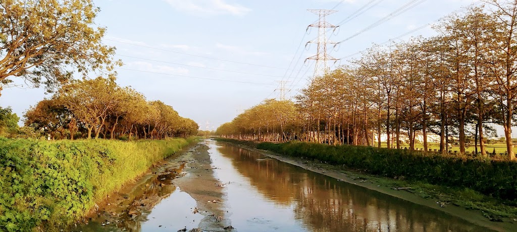 藍車剉冰 的照片