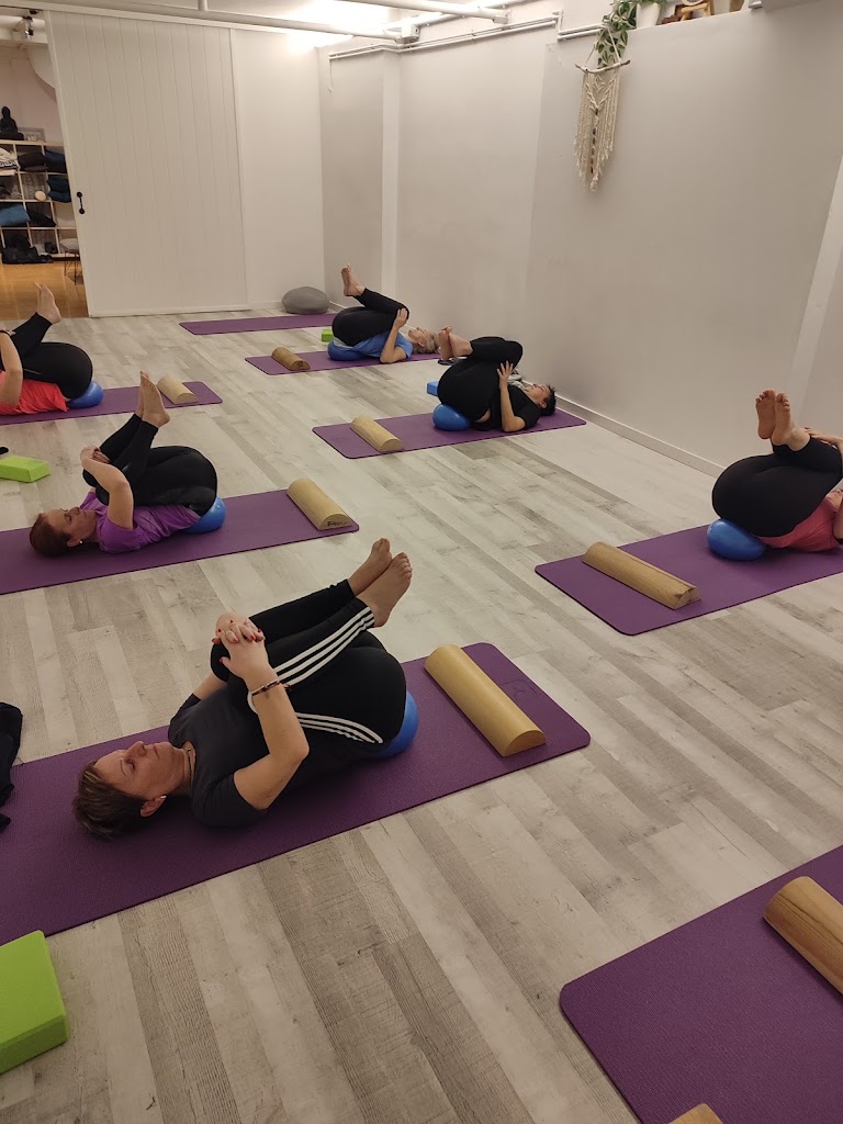 Espai Biosfera - Ioga Pilates Aeri | Hipopressius | Aeri infantil | Massatges | Nutricio — Del propietario