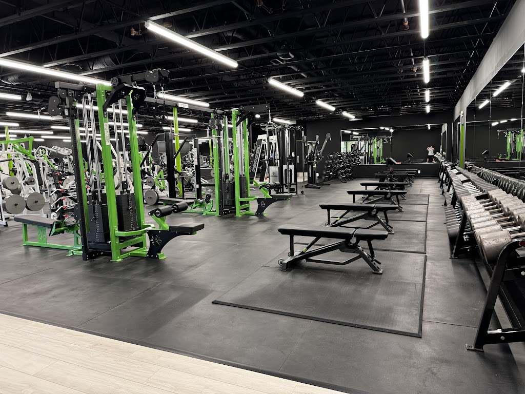  O’Malley’s Gym