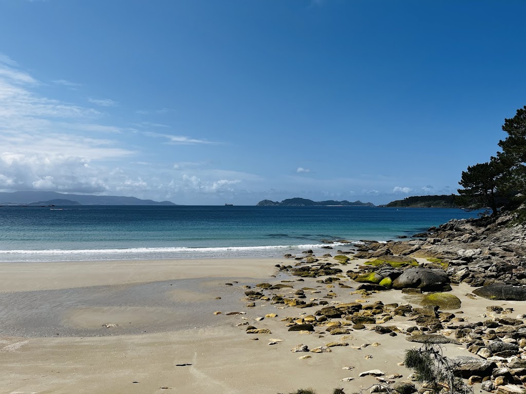 Aparcamiento Barra - Vino (De pago)