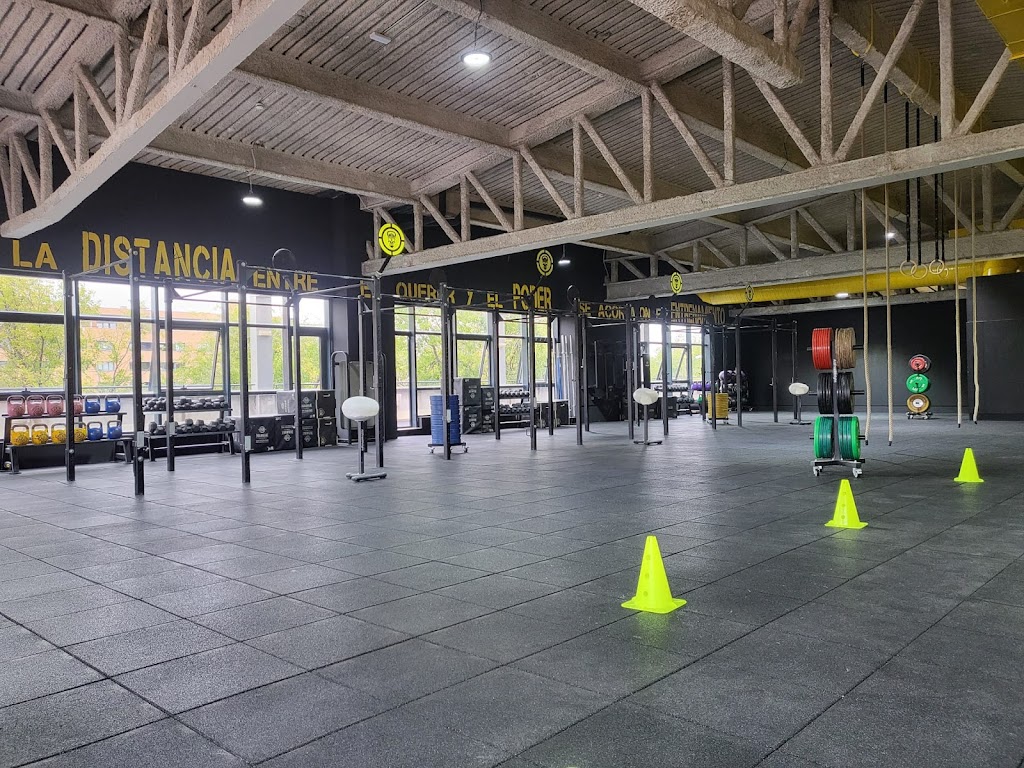 Box Ragnarok (Alcobendas)