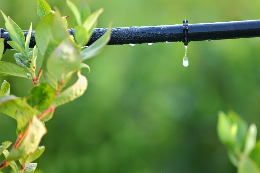 Precision Irrigation Systems
