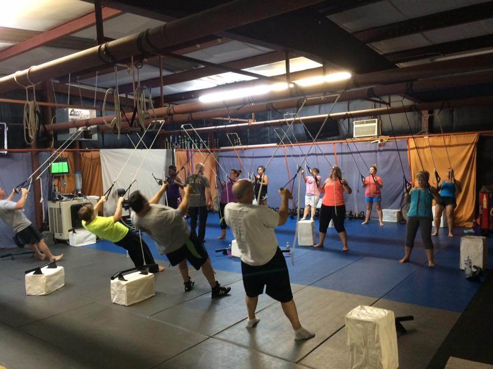  Phenix Fitt / Fear Systems / DFC