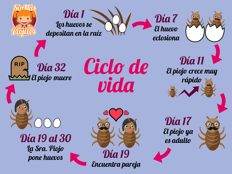 Sin Mas Piojitos Dos Hermanas — Carta
