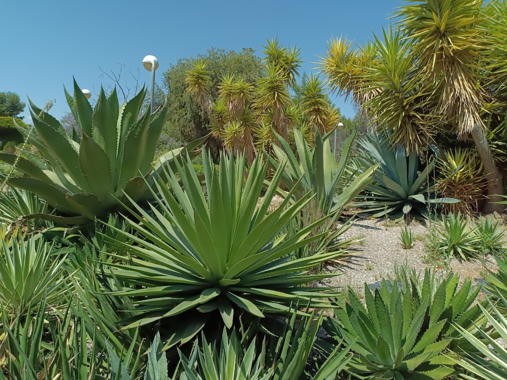 Parque de Pablo Iglesias