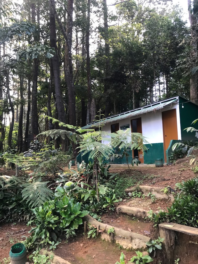 Bumi Perkemahan Cisuren