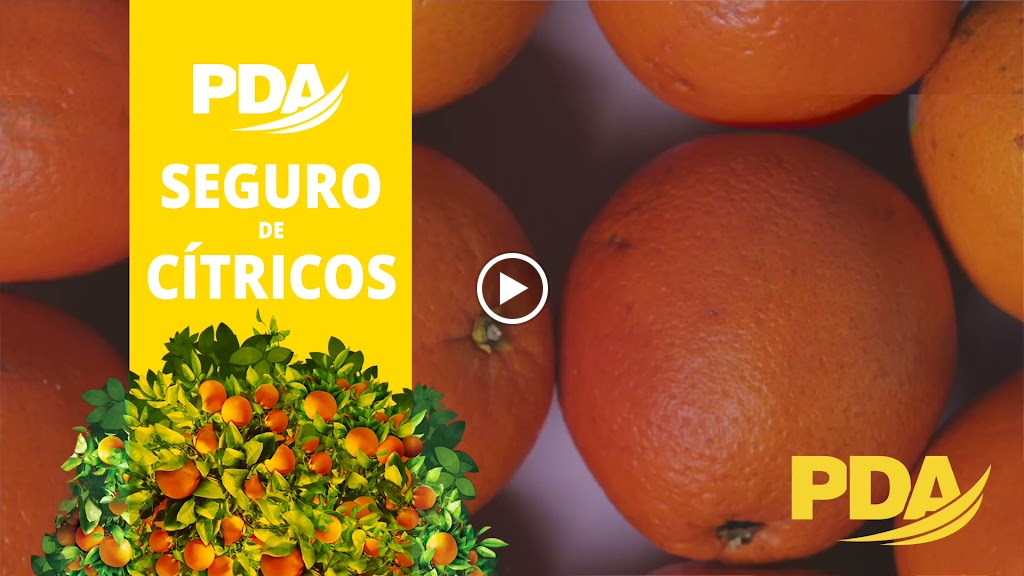 Allianz Seguros - Agencia Pablo Dominguez Aseguradores S.L. — Videos