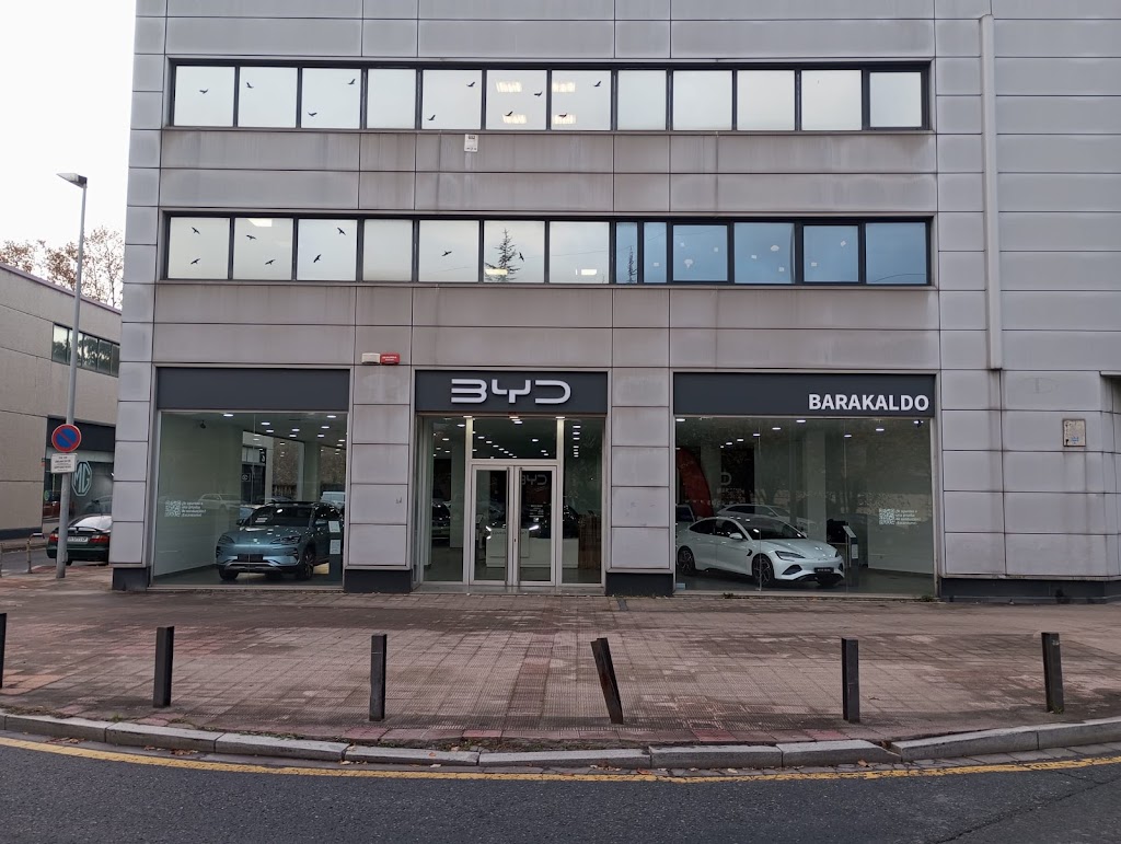 BYD BLENDIO | Bilbao - Barakaldo